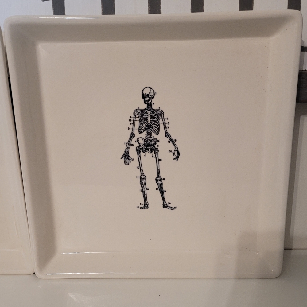 Magenta Exclusive Skeleton Square Platter/plate